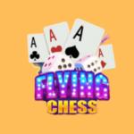 Flying chess app