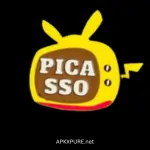 Picasso
